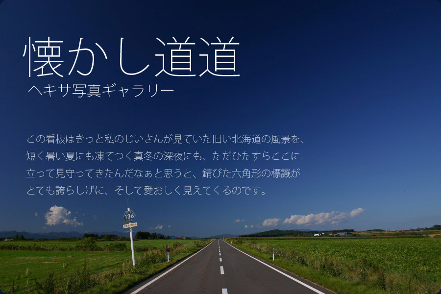 ���������� �w�L�T�ʐ^�M�������[